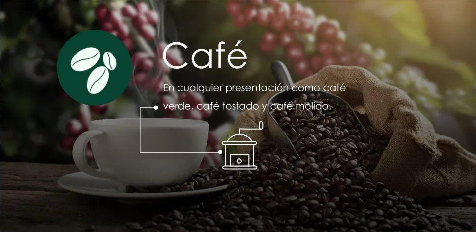 Conoce Almacafé: el proceso logístico detrás de una taza de café