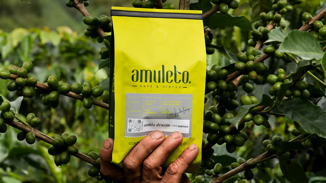 El viaje mágico del café Amuleto: de la tierra a tu taza